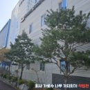 산업로155번길 | 수원 벌목업체 회사 공장 가로수 나무 가지치기
