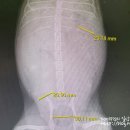 도곡종합동물병원 이미지