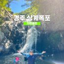 신평도시계획도로 소나무 | 경주 상계폭포 시원한 자연 속 숨은 명소 후기