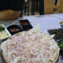 여름휴가일상 가족나들이 포항횟집 맛집/카페/일상 경산카페 찰스아노 행운의시간/기장카페 쇠마루/기장...