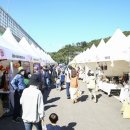 백운호수 제방 이미지