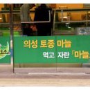 의성마늘소 이미지