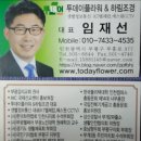 인천신촌초등학교 이미지