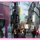 앙상블공인중개사사무소 이미지