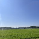 교동 테니스장 이미지