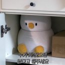 벨롱떡케이크 | , 2025 물오름달