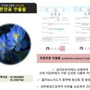 ● 코/리/아/나 손소독제 500ml 펌프형 ● 이미지