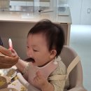 핑하이 | 라비베베 솔리드 2in1 하이체어 후기｜2.8kg 초경량 가성비 이유식의자 추천