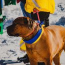 리더십스피치 이미지