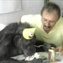 치타(CHEETAH) 이미지