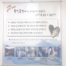 준이네먹물낙지 | 가오리맛집 장미원맛집 준이네먹물낙지&amp;통영굴밥