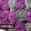 멍멍이발소 이미지