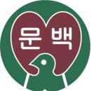 서울문백초등학교 이미지