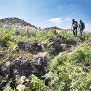 돈키호테 발전소 이미지