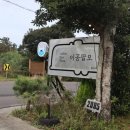 선흘리2085 | [이공팔오]: 카페 2085/조천 피자맛집/펍/내돈내산/솔직후기