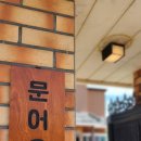 제주도파티게스트하우스문어오빠 | 제주 게하 파티 파티 불멍 제주옥돔방숙소 완벽했어요 협재게스트하우스 문어오빠 후기