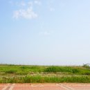 연지곤지 카페 이미지