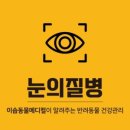 이솝동물메디컬 이미지