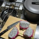 창원 휴양림 오토 캠핑장 이미지