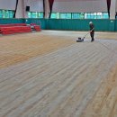 울주명지초등학교 이미지