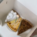 고양이병원 소설 | 한의대 본3, 시작이 반이었던 병원 실습 이야기 (2)