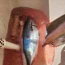 외연도5 이미지