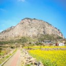 대천환승정류장 이미지