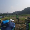 남보은농업협동조합수한지점