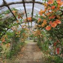 동광리-7 이미지