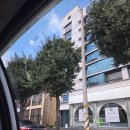 보성녹차닷컴 | 4박 5일 푸켓 자유여행 1일차(3박 5일, 아시아나 항공, 트립 닷컴 호텔 픽업 존, 태국 술 판매 시간, 경비)