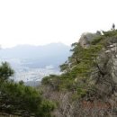 깊은산속 옹달샘 이미지