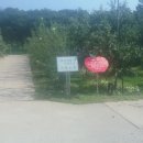 청강농원 이미지