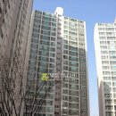 부산 남구 용호동 176-30 / 부산 남구 분포로 113 / LG메트로시티 2차 아파트 / 5 이미지