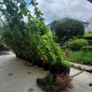 벽방초등학교 이미지