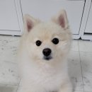 미사누리1호공원 이미지