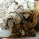 나그네쉼터 이미지