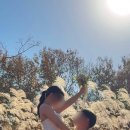 하단동1207 | 부산 야외 셀프웨딩스냅 / 처음부터 끝까지 전부 셀프! / 쉬인,테무 웨딩드레스 내돈내산 후기