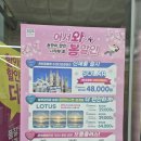 으뜸플러스안경 홍성내포점 | 내포 렌즈 평소의 반값 수준! 으뜸플러스