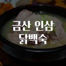 금산인삼 티스토리