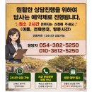 휴림원 | 🔥 대구수목장 고민 끝낸 이유｜명복공원 화장 후 직접 보고 결정한 현실 후기 (대구신세계공원묘원)