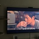 쥬니파스타 이미지
