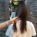 메아리 미용실 - 평택시 | 메아리 미용실