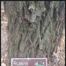 반여3동-12 이미지