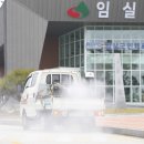 임실방역