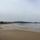 베이브리즈 네이버블로그