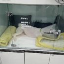 단비동물병원 이미지