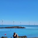 신창가마솥순대국 이미지