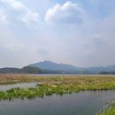 물안개공원 이미지