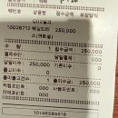 푸르지오명품크리닝 | 드레스 | 웨딩드레스 수선, 클리닝 후기! (홍대 여밈, 쿨화이트 더현대서울점)