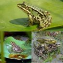 큰들축산 이미지